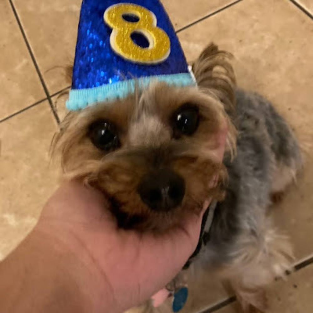 Meet your Posher, Angie